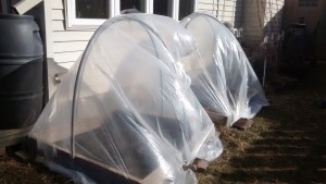 Wigwam style hoop houses 4' x 4'