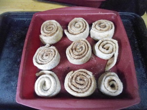 Cinnamon buns ready for second rise before going in the oven