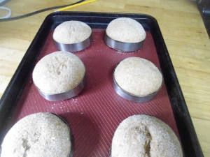 English muffins rising in homemade rings
