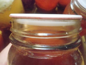 Tattler lid and gasket on a jar of apple pectin