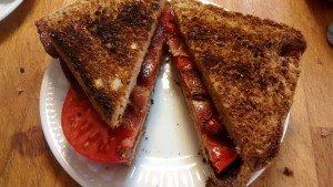 Toasted Bacon and Tomato Sandwich on Whole Wheat Potato Bread