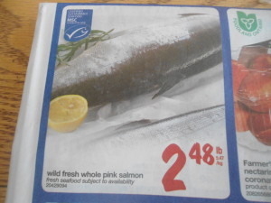 Fresh Salmon on Special - a buying opportunity