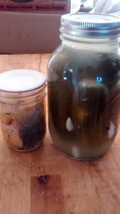 Canned salmon and lactic pickles work just fine in regular mouth mason jars