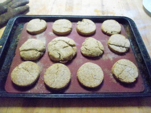 Whole Wheat Biscuits hot out of the oven
