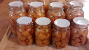 Jars of canned pumpkin